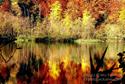 Plitvice in autumn
